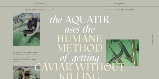 Carousel bottom info